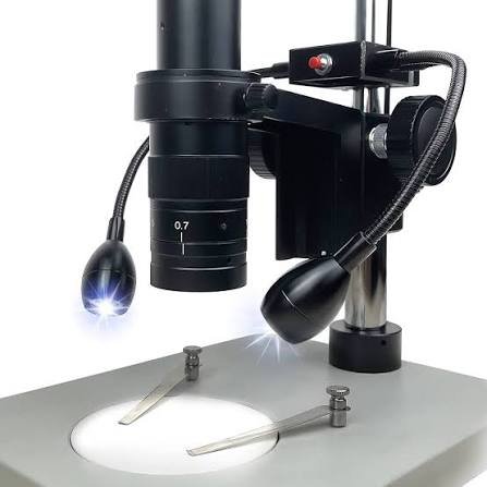 Microscope Lamp